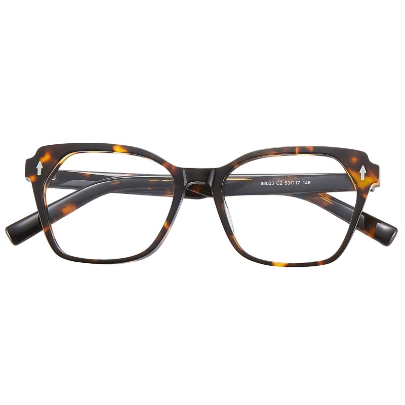 Cat Eye Tortoise Eyeglasses