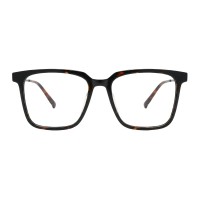 Irvine - Square Tortoise Eyeglasses
