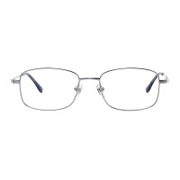 Rectangle Silver Eyeglasses