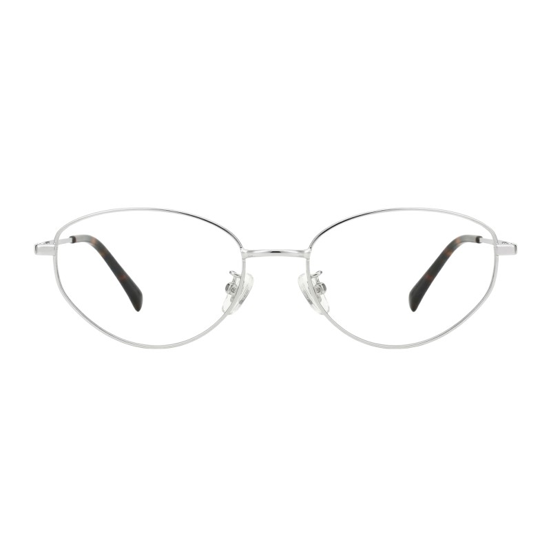 Cat Eye Silver Eyeglasses