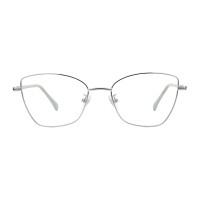 Cat Eye Silver Eyeglasses