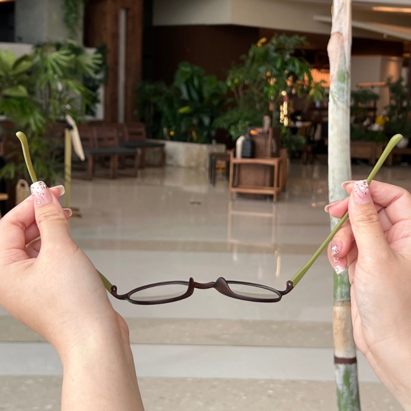 Round Brown/Green Eyeglasses