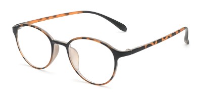 Round Tortoise Eyeglasses