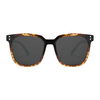 Square Tortoise Sunglasses