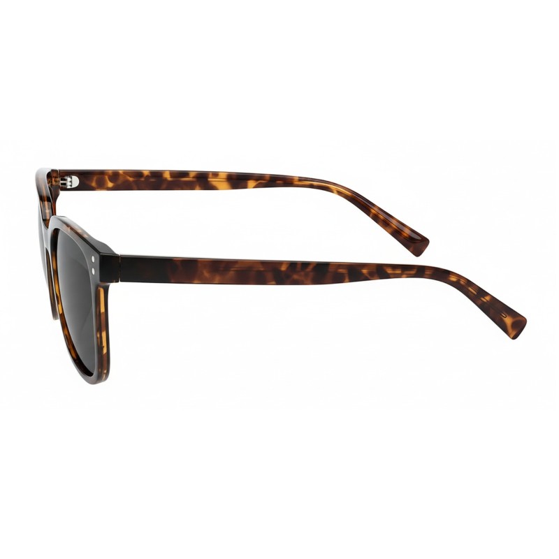 Square Tortoise Sunglasses