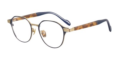 Round Tortoise Golden Eyeglasses