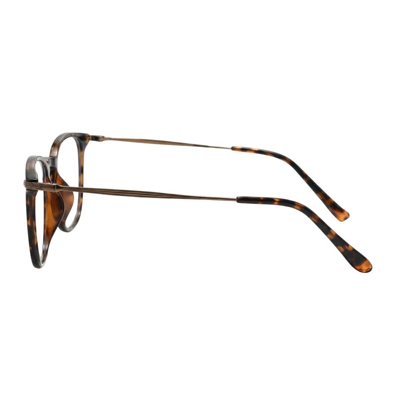 Round  Tortoise Eyeglasses
