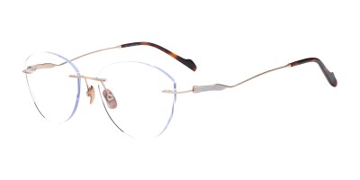 Cat Eye Tortoise Eyeglasses