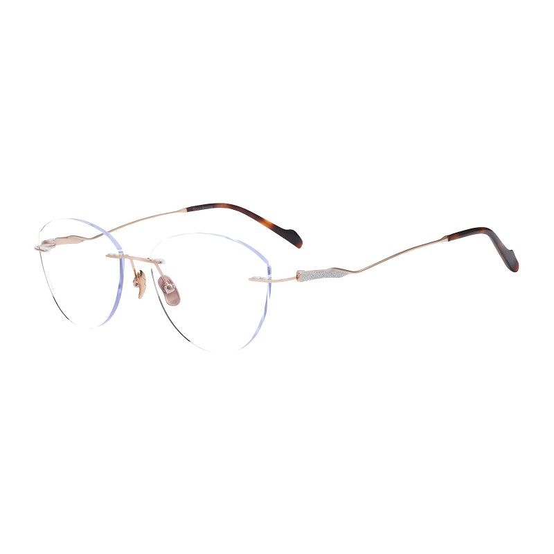Cat Eye Tortoise Eyeglasses