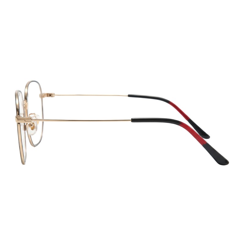 Polygon Black Gold Eyeglasses