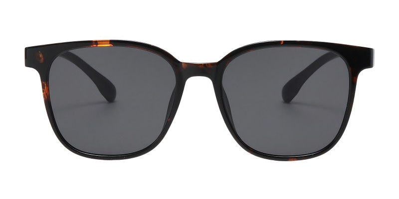TerreHaute Tortoise Square Sunglasses