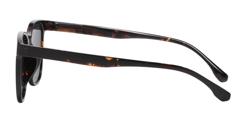 TerreHaute Tortoise Square Sunglasses additional view