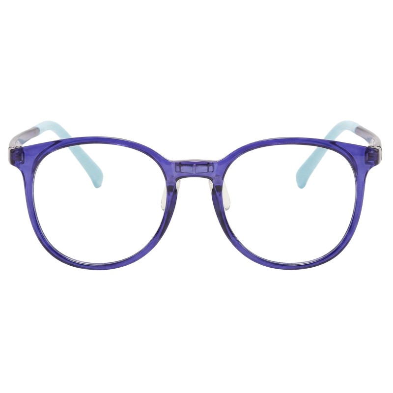 Round Dark Purple Eyeglasses