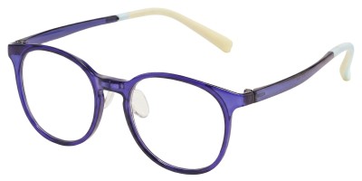 Round Dark Purple Eyeglasses