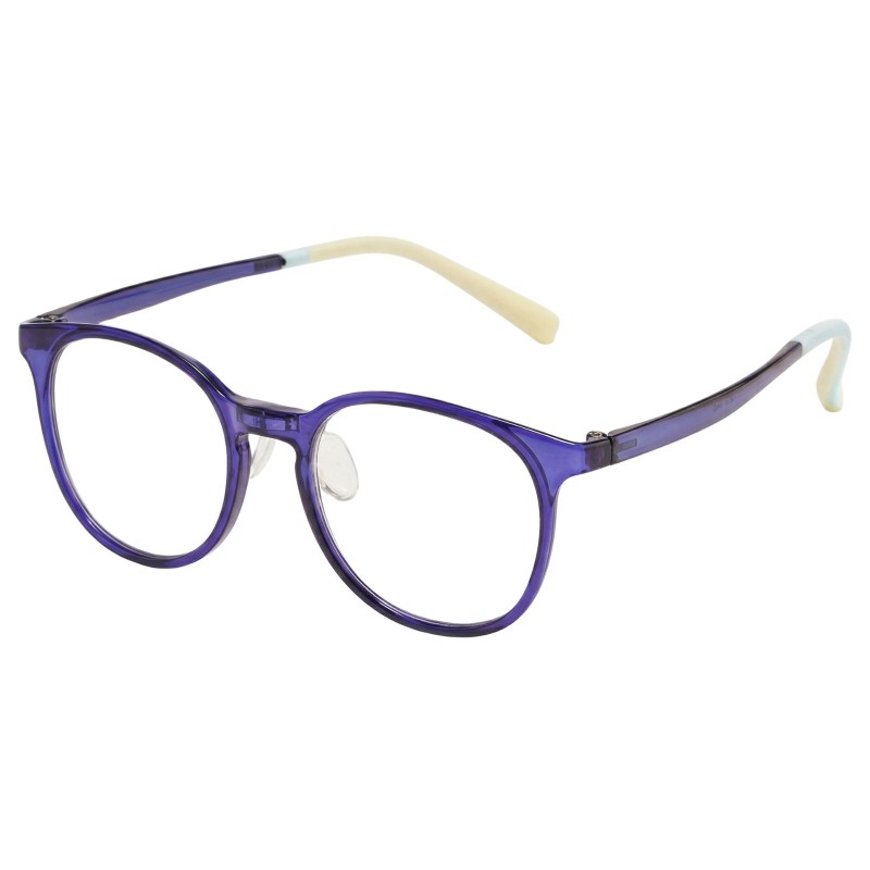 Round Dark Purple Eyeglasses